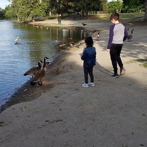 Meet your Posher, Vincent